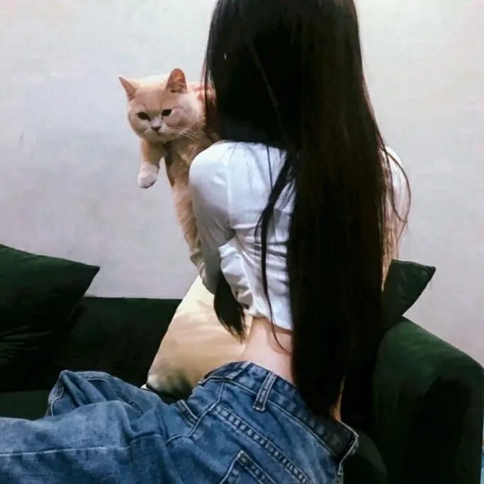 出柜好莱鸟