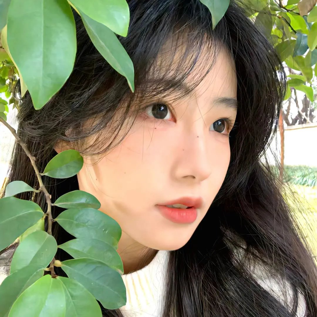 热带幻梦