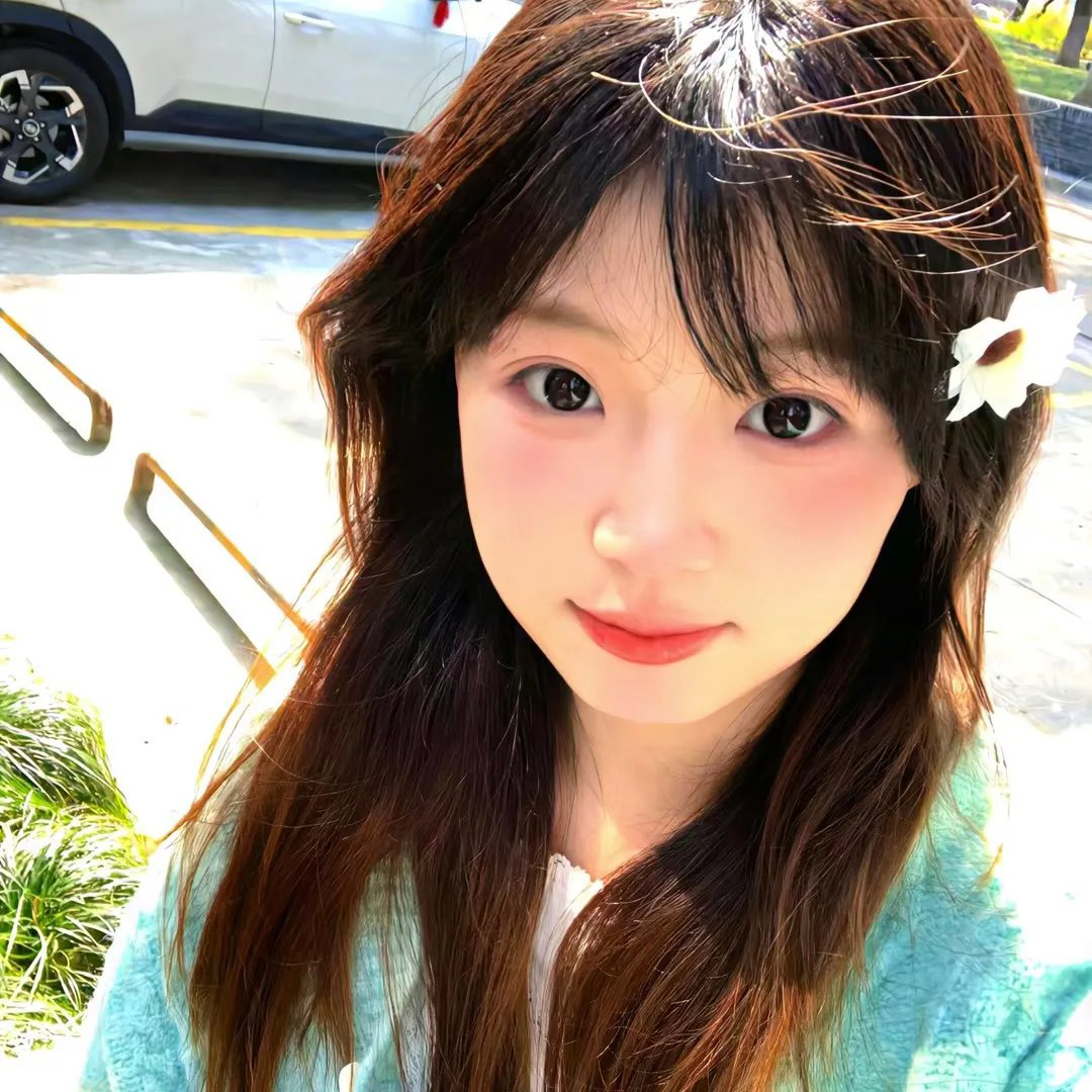 东风海棠